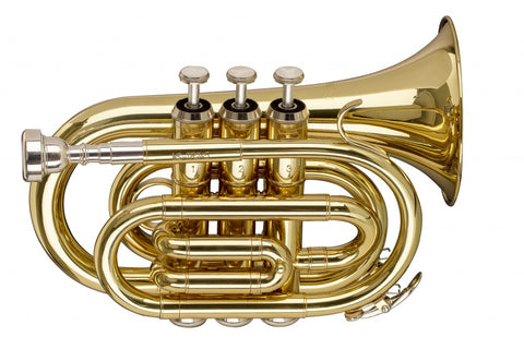 Stagg Bb Pocket Trumpet
