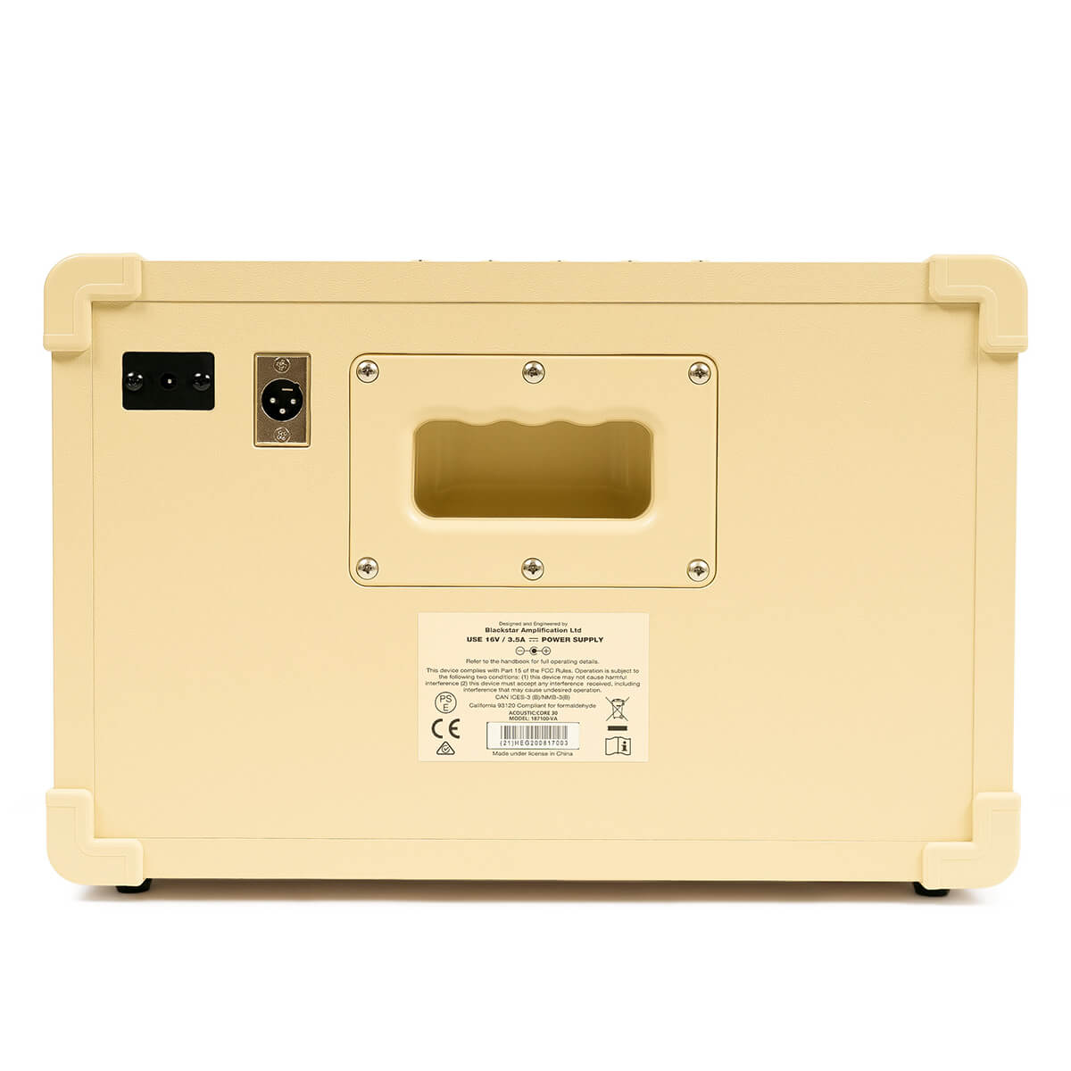 Blackstar Acoustic Core 30