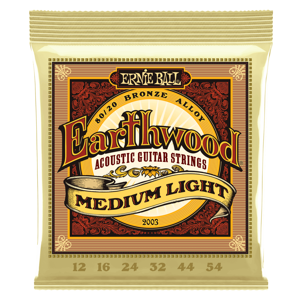 Ernie Ball Earthwood 12-54