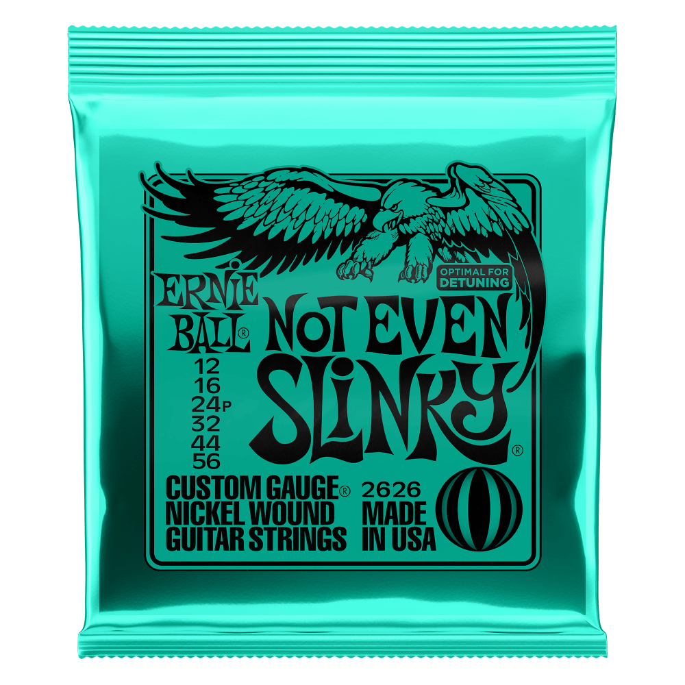 Ernie Ball Not Even Slinky