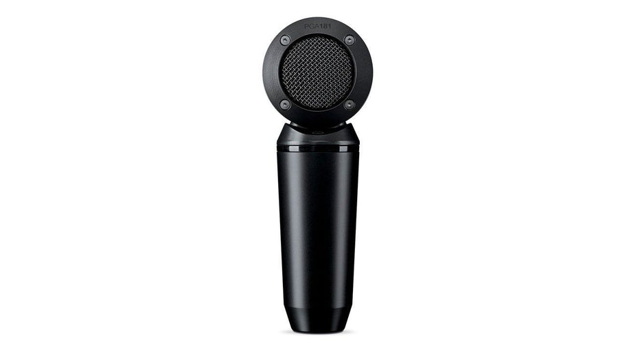 Shure PG Alta 181 Mic With XLR Cable