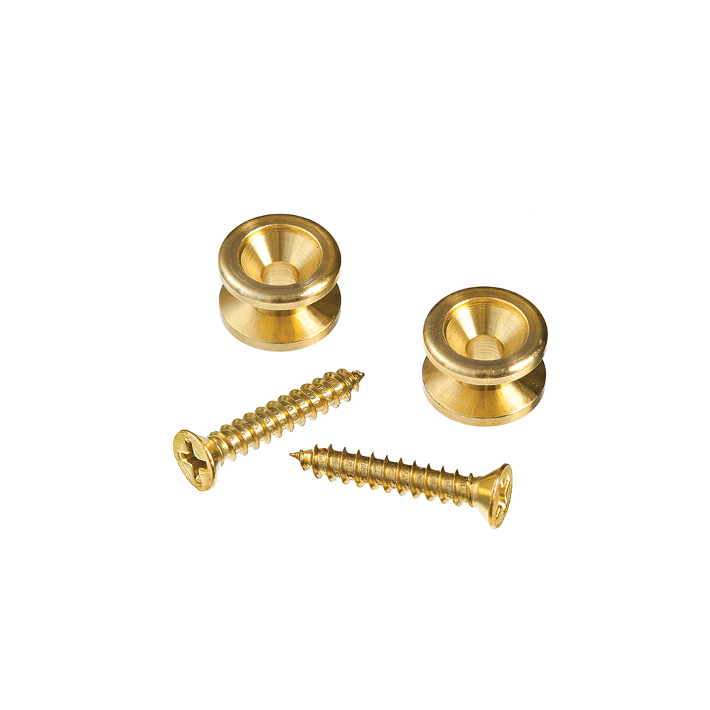 Planetwaves End Pins Brass
