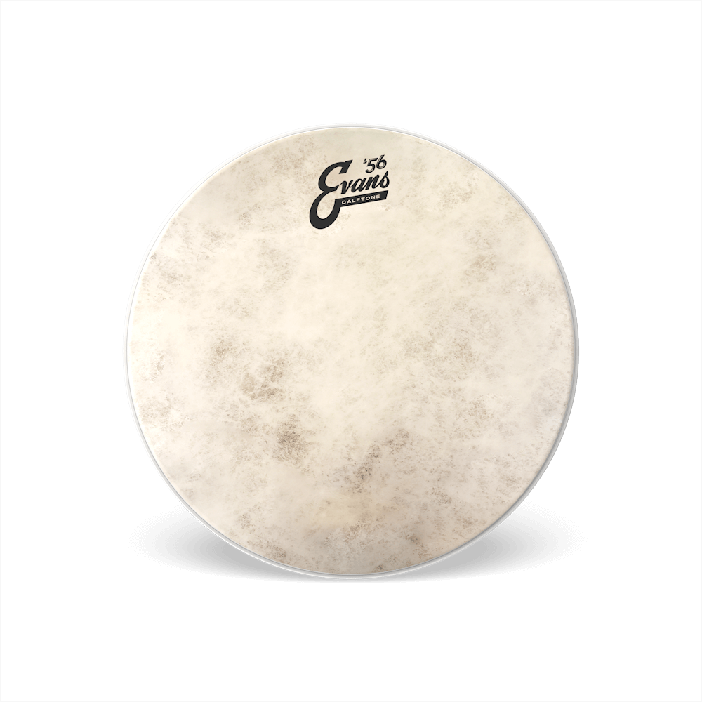 Evans 12" Calftone Tom Head