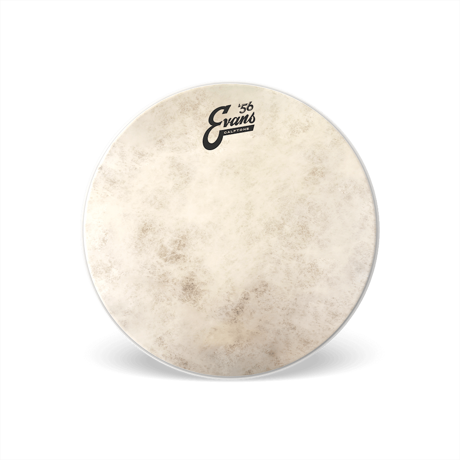 Evans 13" Calftone Tom Head