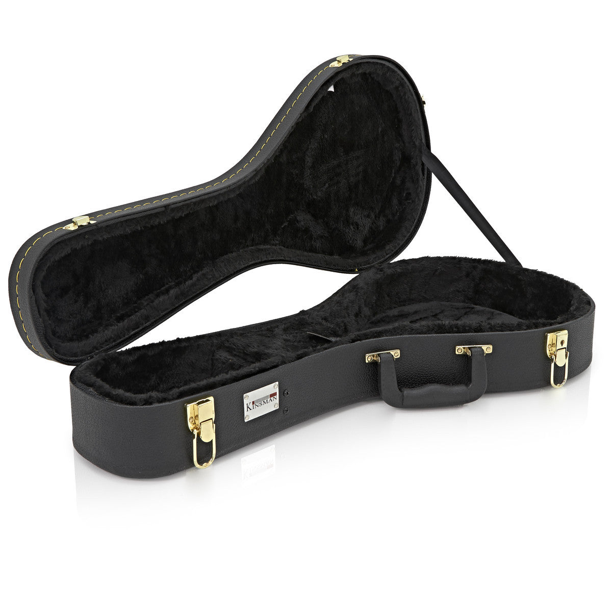 TGI Mandolin Case