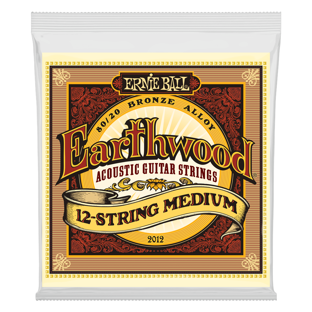Ernie Ball Earthwood 12 String Medium
