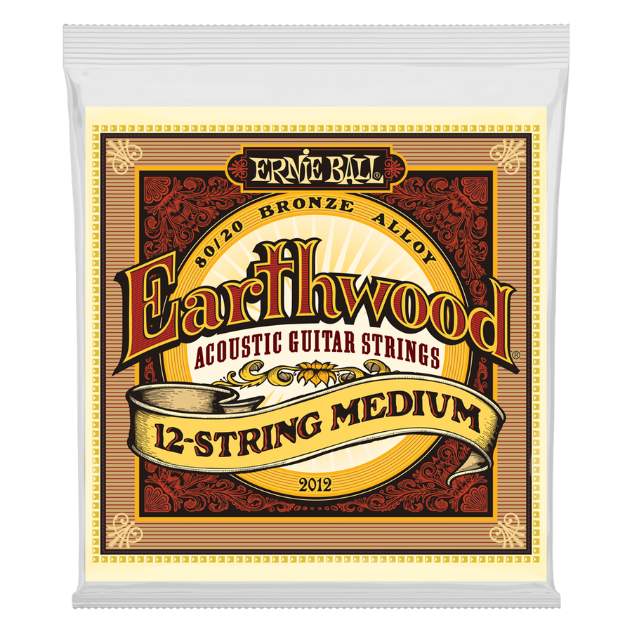 Ernie Ball Earthwood 12 String Medium