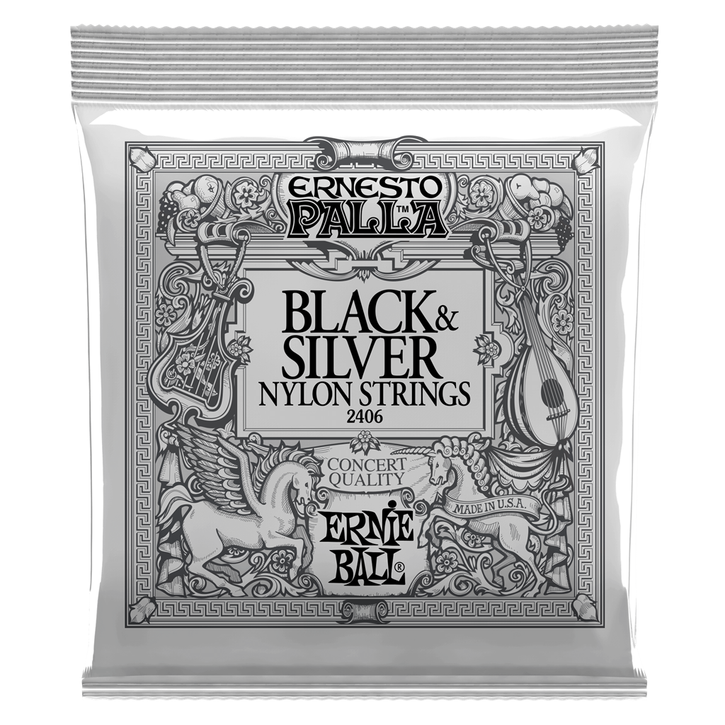 Ernie Ball Ernesto Palla Black & Silver